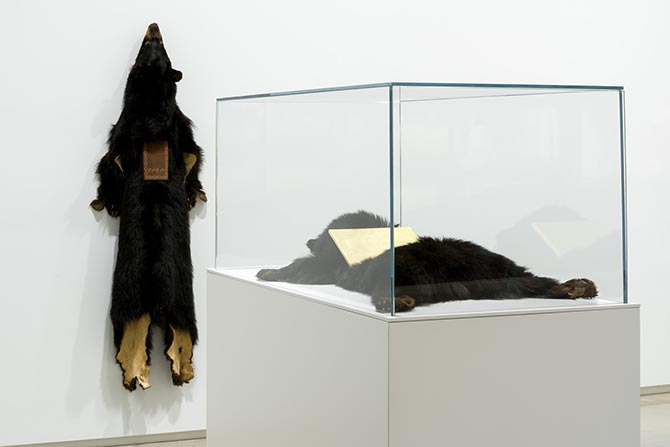 Photo d’une œuvre de perles sur du tissu et une fourrure d’ours dans une pièce